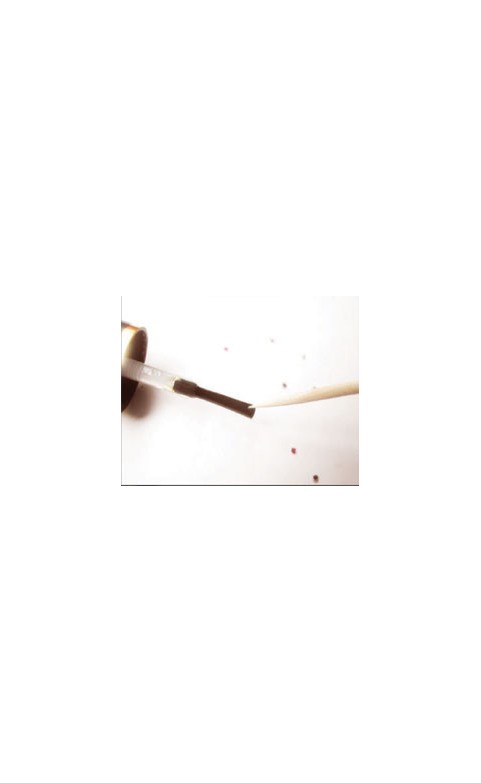 Strass ronds taille 3mm 12 couleurs + stick
